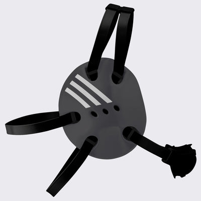 AE100C Ear Guard